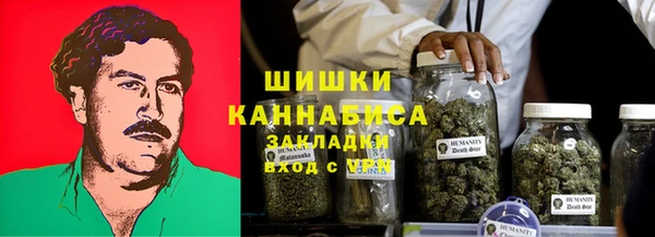 PSILOCYBIN Аркадак