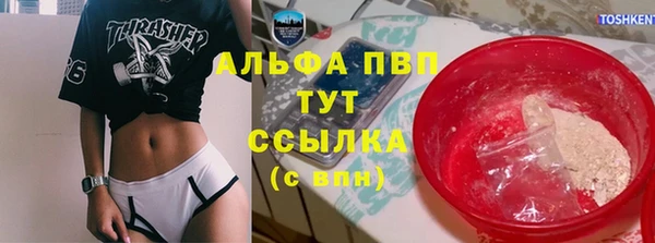 PSILOCYBIN Аркадак