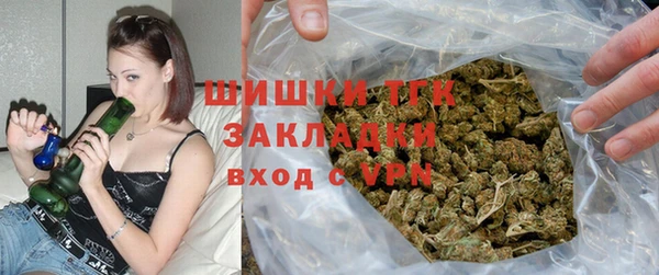PSILOCYBIN Аркадак