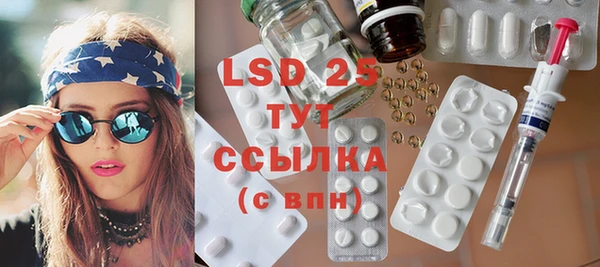 PSILOCYBIN Аркадак